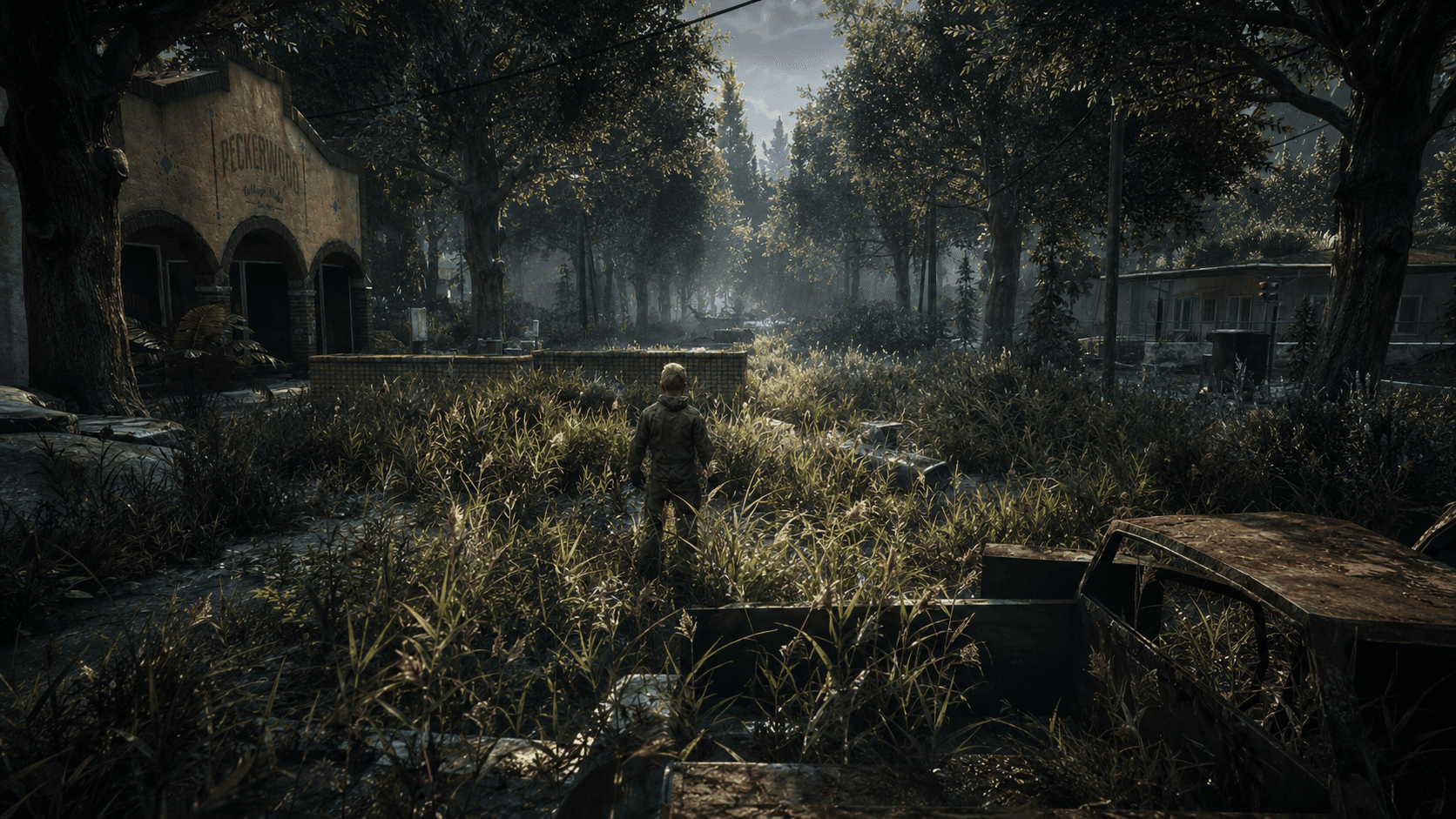 Military convoy vehicles stopped on forest roadside